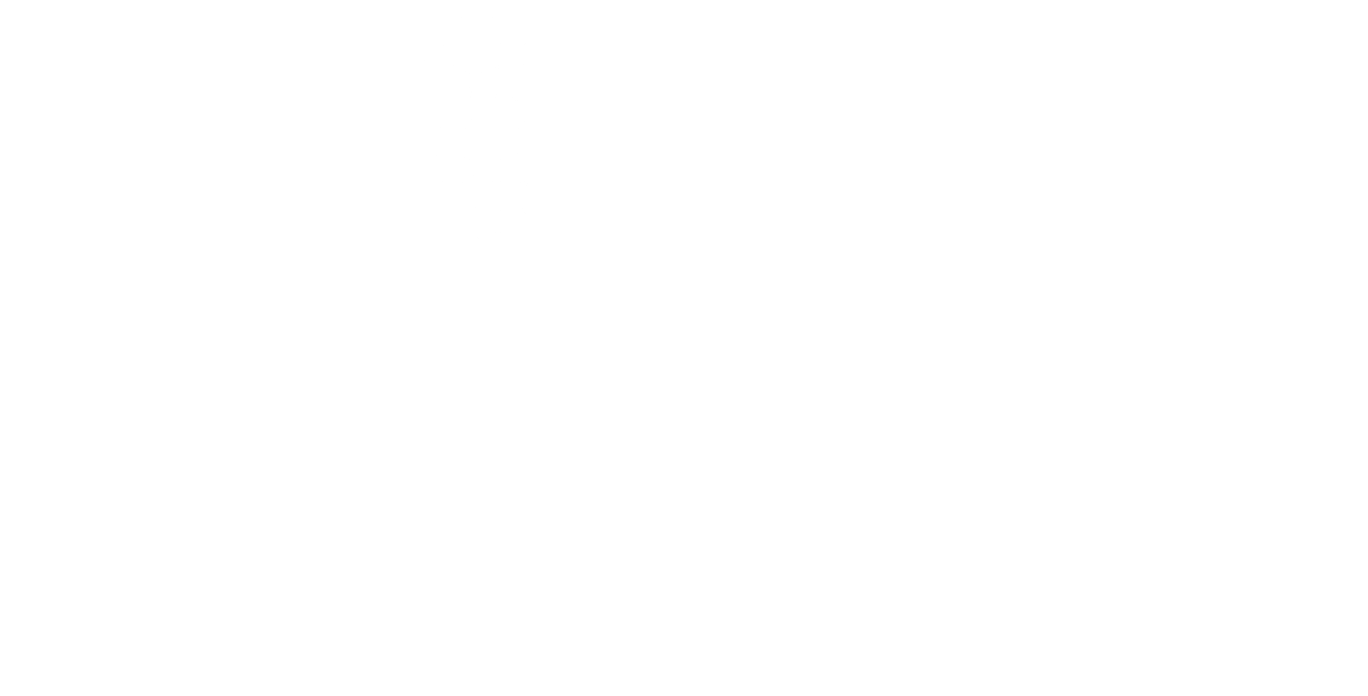 Hillel at the College of Charleston